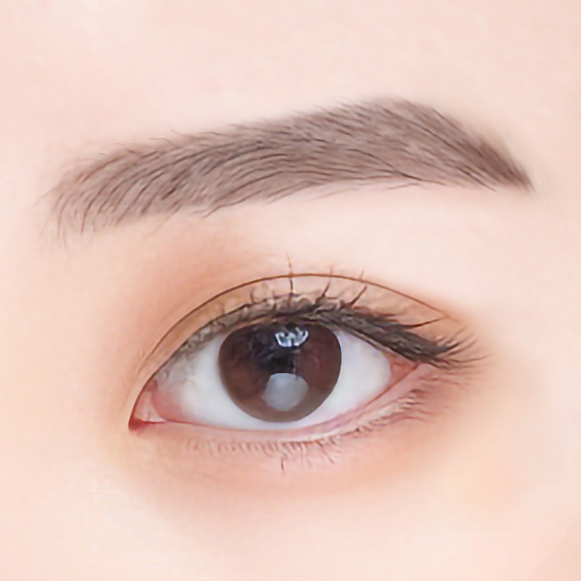 Velvet Eyebrow 01 – ルミアグラス公式オンラインストア Velvet Eyebrow 01 – ルミアグラス公式オンラインストア