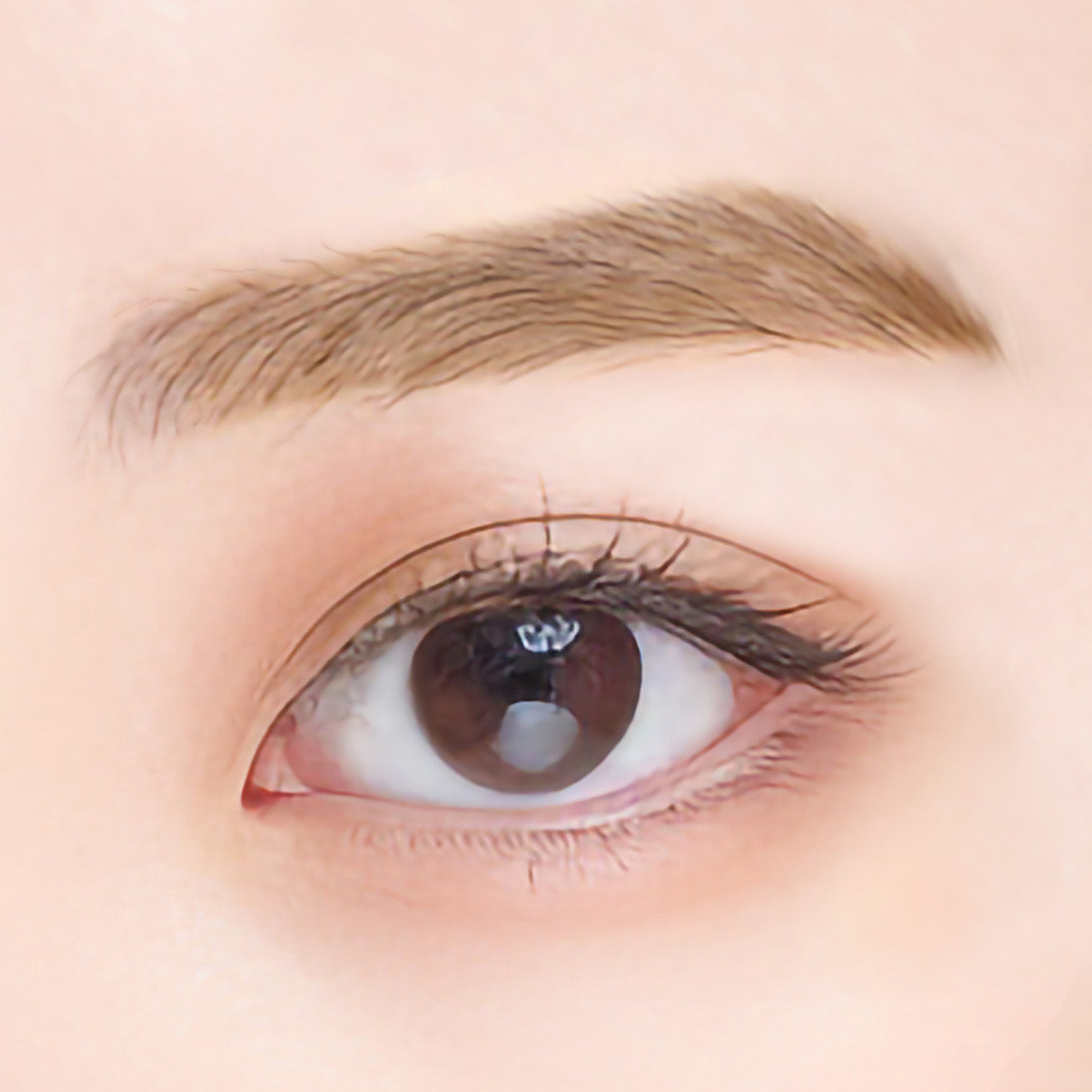 Velvet Eyebrow 02 – ルミアグラス公式オンラインストア